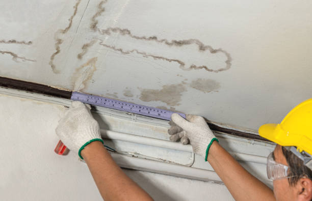 Reliable Mold Remediation contractor in Eagle Point, OR by Water Damage Irwin
